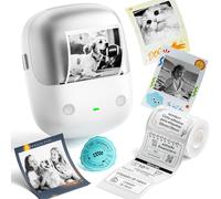 NIIMBOT Etichettatrice B2 Pro,Stampante per etichette HD 300DPI,Supporta la stampa offline,con etichette autoadesive impermeabili per le foto,Casa, Ufficio e Business Argento