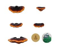Niiyen Simulation Mushroom Shelf Decoration Set Plant Hanger Adhesive Mini Resin Mushrooms Cute Agaric Wall Hanging for Cottage, Yard and Outdoor Decor