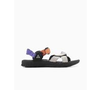 Nike ACG Air Deschutz+
