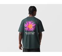 Nike ACG Dri-FIT Meadows T-Shirt, verde M,S