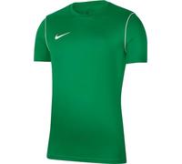 Maglia da calcio Nike Dri-Fit Park 20 verde pino/bianco da uomo (L)