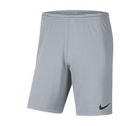 NIKE Dri-Fit Park 3 Shorts