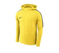 Nike Dry Acdmy18 Po Felpa con cappuccio, Felpa Con Cappuccio Uomo, giallo (Tour Yellow/Anthracite/Anthrac), S