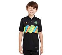 Nike - FC Inter Stagione 2021/22 Maglia Other Attrezzatura da gioco, L, Unisex