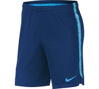 Nike FCB M Nk Dry Sqd K Shorts, Uomo, Coastal Blue/Vivid Sky/Equator Blue, S