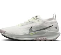 Nike FQ0908-102 Nike Pegasus Trail 5 Gore-Tex Uomo, Summit White/Sequoia-Light Silver EU 43