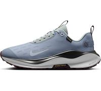 Nike Infinityrn 4 Gore-Tex Wasserdichter Straßenlaufschuh für Herren, Scarpe da Corsa Uomo, Ashen Slate Football Grey Light Pumice, 42 EU