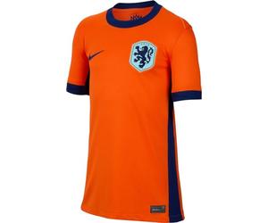 Nike Knvb DF Stad T-Shirt Unisex - Bambini e Ragazzi
