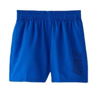 NIKE Logo Solid Lap 4" -Lbf4 Ness9716 Costume da Bagno Bambini, Bambino, Costume da Bagno, NESS9716-416, Hyper Royal, L