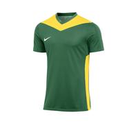 Nike FD7430-303 M NK DF PRK DRB IV JSY SS Maglia Lunga Uomo Pine Green/Tour Yellow/White Taglia M