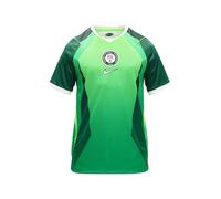 Nike NFF Dri-Fit SS Stadium Home - Maglia da Uomo, Taglia XL, Colore: Verde Pino