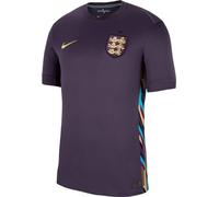 Nike Men's Top Ent M Nk DF Stad Jsy SS AW, Dark Raisin/Sesame, FJ4272-573, 3XL