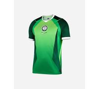 Nike Nigeria Home 26 - maglia calcio - uomo Green S