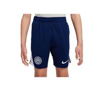 Nike Pantaloncini Calcio Inter Strike Training Blu Grigio Bambino M