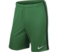 Nike Pantaloncini da uomo League Knit, 725881-319, Verde (lucid green/Grove green/White/319), L
