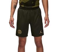 Nike Pantaloncini da Uomo PSG M Nk DF Stad Short 4Th, Sequoia/Sequoia/Hemp, FD6505-326, L