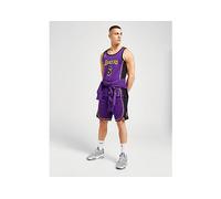 Nike Pantaloncini Swingman NBA LA Lakers, Viola S