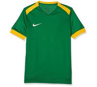 Nike Park Derby II Short Sleeve Jersey, Maglia Maniche Corte Bambino, Pino Verde/Universita 'Oro/Bianco, S