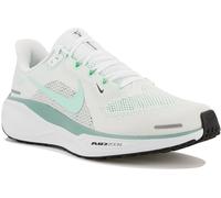 Nike Pegasus 41 42