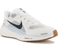 Nike Pegasus 41 43