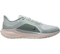 Nike Pegasus 41 GORE-TEX Scarpe da running 44 Grigio