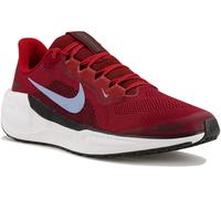 Nike Pegasus 41 Junior 39