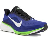 Nike Pegasus 42 43