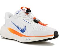 Nike Pegasus EasyOn 41