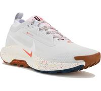 Nike Pegasus Trail 5 Gore-Tex 42