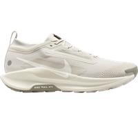 Scarpa impermeabile da trail running Nike Pegasus Trail 5 GORE-TEX - Uomo - Grigio 42.5