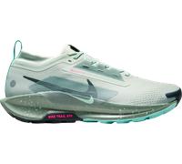 Nike Pegasus Trail 5 Gore-tex M - Scarpe Trail - Uomo - Grigio 44