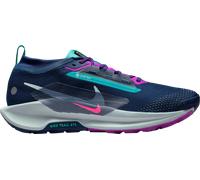 Nike Pegasus Trail 5 GORE-TEX Scarpe per sentieri 47,5 Azzurro