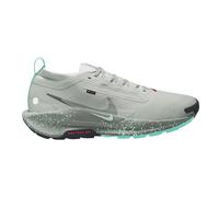 Nike Pegasus Trail 5 GORE-TEX - scarpe trail running - uomo Grey/Green 10,5 US