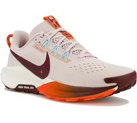 Nike Pegasus Trail 5 Tour du Mont-Blanc Pack 44