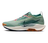 Nike Running Pegasus Trail 5 GTX, Jade Horizon/Armory Navy-Bicoastal, FQ0908-300, 42 EU (M 10.5 US)