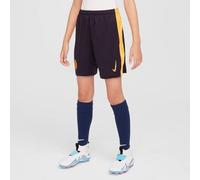 Nike Shorts da Calcio Replica Dri-Fit Inter 2024/25 Stadium per Ragazzo/A - Terza, Blackened Blue/University Gold/Lyon Blue, FQ2262-498, L