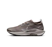 Nike Sneaker da Uomo Pegasus Trail 5 Gore-Tex, Ironstone/Grigio College/Marrone Velluto, 45.5 EU