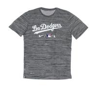 Nike, ,Tops ,Uomo ,Grigio ,S Dodgers Baseball Maglia Allenamento City Connect