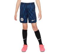 Nike Unisex Kids Pantaloncini Cfc Y Nk DF Stad Short AW, Soar/White, DX2778-427, S