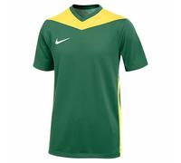 Nike Dri-Fit Park Derby IV T-Shirt, Verde Pino/Bianco/Bianco, XL Unisex