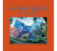 Niki de Saint Phalle Der Tarot-Garten (Copertina rigida)