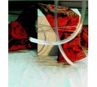 Nikki Sudden Red Brocade (CD) Expanded Remastered Album