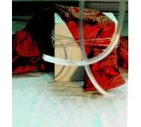 Nikki Sudden Red Brocade (CD) Expanded Remastered Album