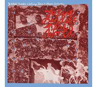 Nikki Sudden - The Last Bandits in the World [Vinyl LP] [Schallplatte]