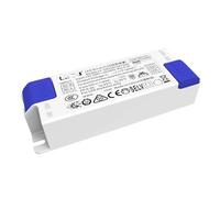 NIKOIDIC Driver LED 30W 32W 40W 42W 48W 60W Trasformatore di Alimentazione LED DC33-40V Senza sfarfallio 600mA 800mA 1000mA 1200mA 1500mA Lampada(10.5W 250mA DC25-42V)