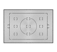Nikon D2Xs V Screen