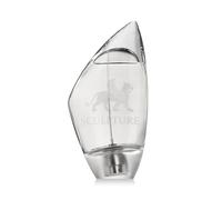 Nikos Sculpture pour Homme Eau de Toilette (uomo) 100 ml