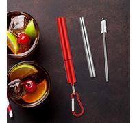 Nikou Kit retrattile in acciaio inox riutilizzabile, custodia in alluminio rosso con spazzola e moschettone, portatile, design compatto per uso in movimento