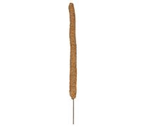Niktule Picchetti Pieghevoli per Piante di Cocco | Supporto per Piante Pali Train Monstera Philodendron Pothos Piante rampicanti Grow | Le Piante in Vaso aiutano Le Piante da Interno a Crescere Verso