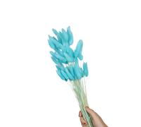 Nilan, 60 code di lepre secche, 59,9 cm | 60 code di lepre secche, 59,9 cm, resistenti allo sbiadimento, per la decorazione della casa, fotografia, matrimoni